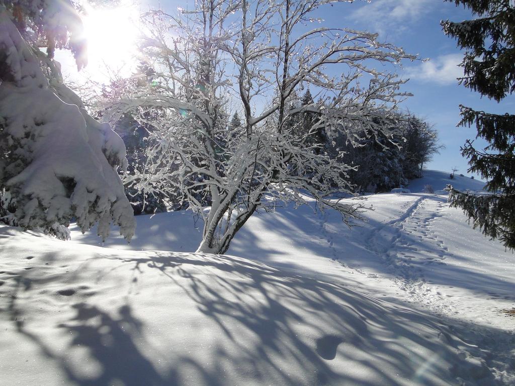 圣母院雪酒店 拉斐 外观 照片